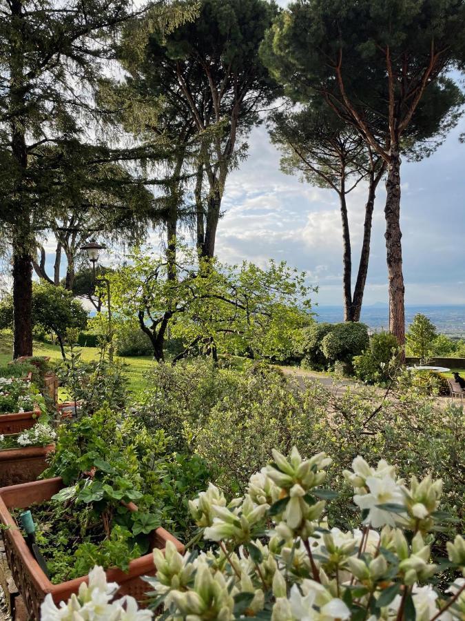 Appartamento Castelli Romani - Con Vista Su Roma Monte Porzio Catone Zewnętrze zdjęcie